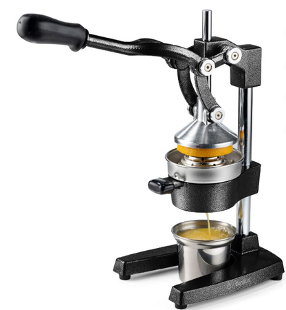 Vitalijus Premium Juicer